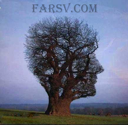 فلسفه و هدف از خلقت (طنز) فلسفه و هدف از خلقت (طنز)