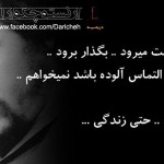 گـلواژه های مانـدگار از دیـدگاه بـزرگان