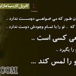 گـلواژه های مانـدگار از دیـدگاه بـزرگان