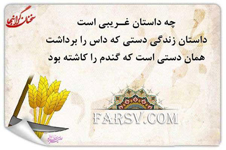 سخنان زیبا و پر معنای زندگی