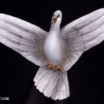 نقاشی های بسیار زیبا و جالب روی دست ها