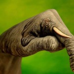 نقاشی روی دست ها