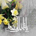 کارت پستال های ولادت حضرت مهدی (عج)