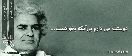 سخنان زیبا و گل واژه های بزرگان