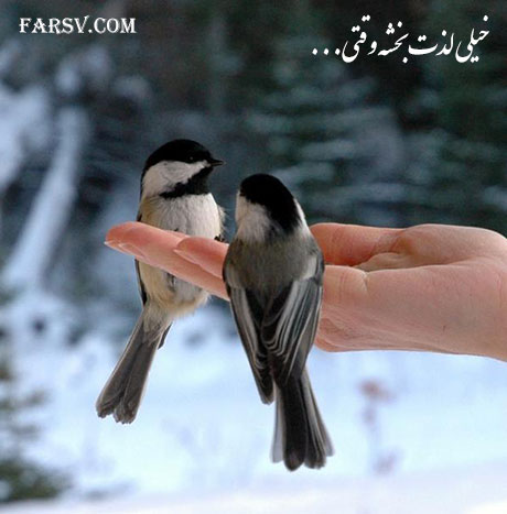 لذت بخش ترین کارهای دنیا