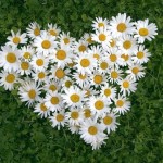 تصاویر فوق العاده زیبا و عاشقانه