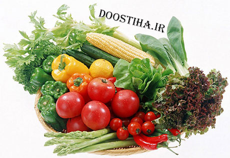 دانلود رایگان نسخه چهارم کتاب الکترونیکی تغذیه و سلامتی دانلود کتاب گیاهخواری و تغذیه گیاهی
