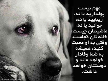 جملات الهام بخش زندگی