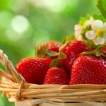 عکس های زیبا از خوراکی های خوشمزه