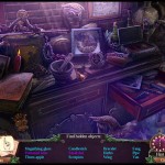 Enigmatis 2: The Mists of Ravenwood Collector's Edition