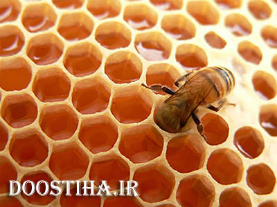 آشنایی با میوه ها و خوراکی های شفابخش درمان بی خوابی با خوردن عسل