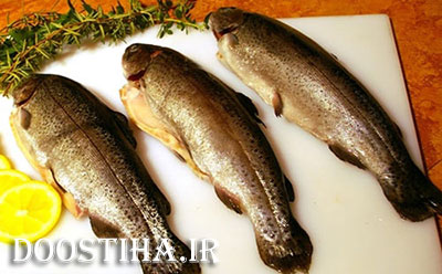 آشنایی با میوه ها و خوراکی های شفابخش درمان ورم مفاصل با مصرف ماهی