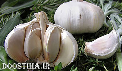 آشنایی با میوه ها و خوراکی های شفابخش درمان سرما خوردگی به مصرف سیر