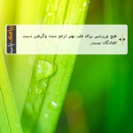 دانلود برنامه پیامک یاب PayamakYab