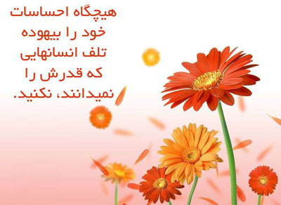 جملات تصویری الهام بخش برای زندگی