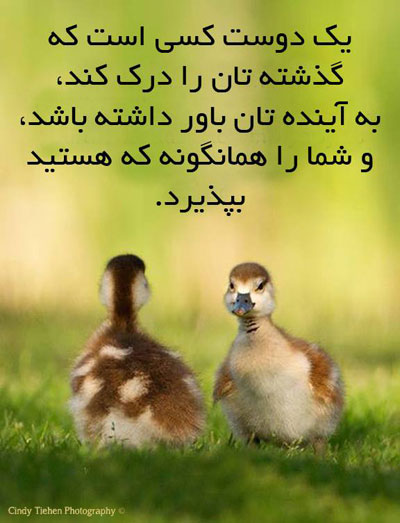 جملات تصویری الهام بخش برای زندگی
