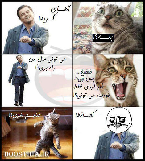 شوخی های جالب و استاتوس های بامزه