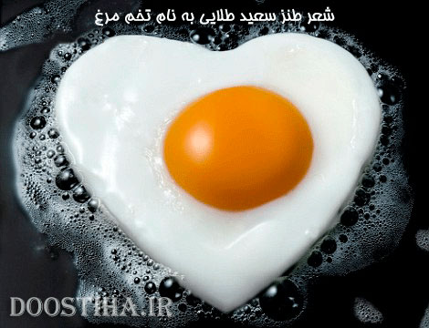 شعر طنز تخم مرغ از سعید طلایی جالب و خواندنی شعر طنز تخم مرغ از سعید طلایی