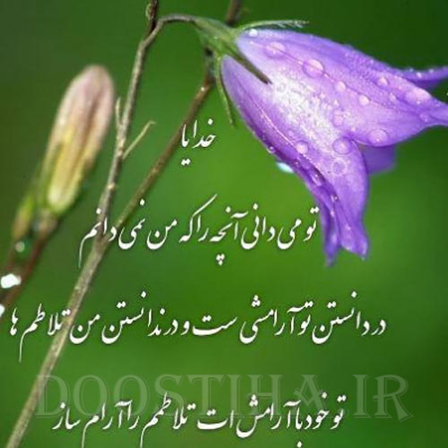 گل واژه های الهام بخش