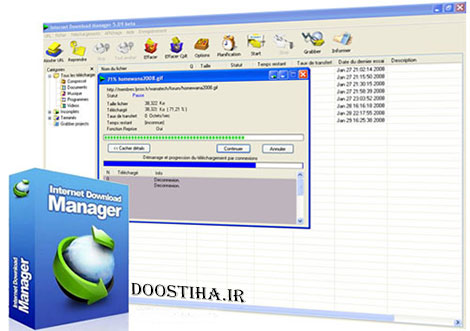 Internet Download Manager