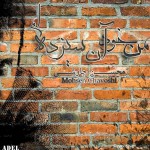 عکس های محسن چاوشی
