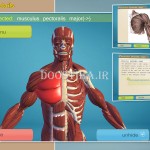 آموزش آناتومی بدن انسان با نرم افزار سه بعدی Easy Anatomy 3D v5.0 Easy Anatomy 3D