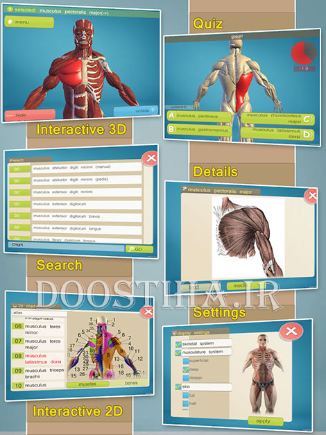 آموزش آناتومی بدن انسان با نرم افزار سه بعدی Easy Anatomy 3D v5.0 یادگیری آناتومی بدن انسان با اپلیکیشن Easy Anatomy 3D