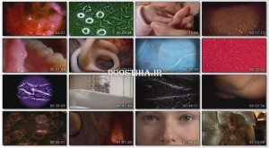 دانلود مستند سیری در بدن زنده Inside The Living Body 2010 Inside The Living Body 2010