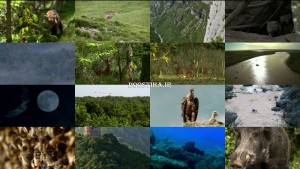 دانلود مستند حیات وحش فرانسه France: The Wild Side 2014 دانلود مستند حیات وحش فرانسه