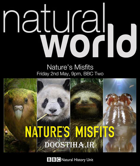 BBC Natural World Nature's Misfits