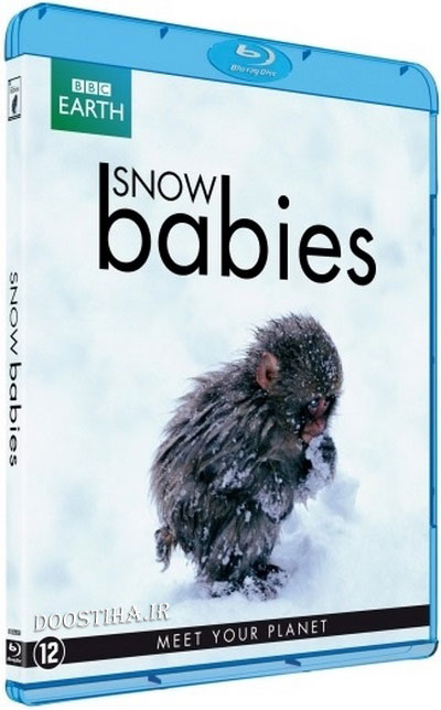 دانلود مستند بچه های برف BBC - Snow Babies 2012 دانلود مستند BBC - Snow Babies (2012) BluRay