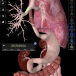 دانلود اپلیکیشن آناتومی بدن Essential Anatomy 3 v1.1.0 Premium Essential Anatomy 3