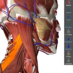 دانلود اپلیکیشن آناتومی بدن Essential Anatomy 3 v1.1.0 Premium Essential Anatomy 3