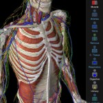 دانلود اپلیکیشن آناتومی بدن Essential Anatomy 3 v1.1.0 Premium Essential Anatomy 3