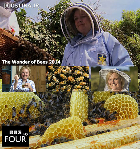 The Wonder of Bees 2014