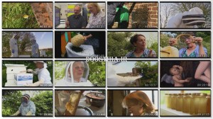 دانلود مستند عجایب زنبورها The Wonder of Bees 2014 The Wonder of Bees 2014