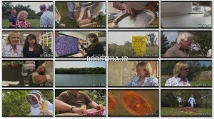 دانلود مستند عجایب زنبورها The Wonder of Bees 2014 The Wonder of Bees 2014