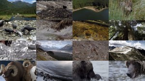 دانلود مستند حیات وحش کانادا Wild Canada 2014 The Wild West