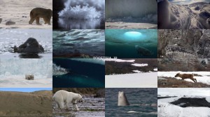 دانلود مستند حیات وحش کانادا Wild Canada 2014 Ice Edge