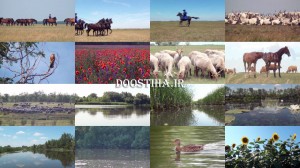 مستند زیباترین مکان های اروپا Europe’s Most Beautiful Places 2012 دانلود مستند زیباترین مکان های اروپا