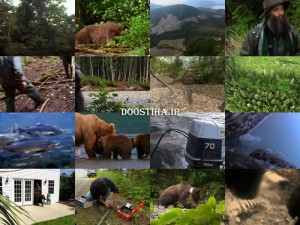 دانلود مستند Alaska: Into The Wilderness 2009 Alaska: Into the Wilderness - Bear Island
