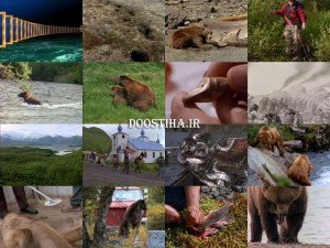 دانلود مستند Alaska: Into The Wilderness 2009 Alaska: Into the Wilderness - Giant Bears of Kodiak Islands