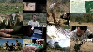 دانلود مستند In Search of a Legend: The Black Leopard 2005 دانلود مستند در جستجوی پلنگ سیاه In Search of a Black Legend