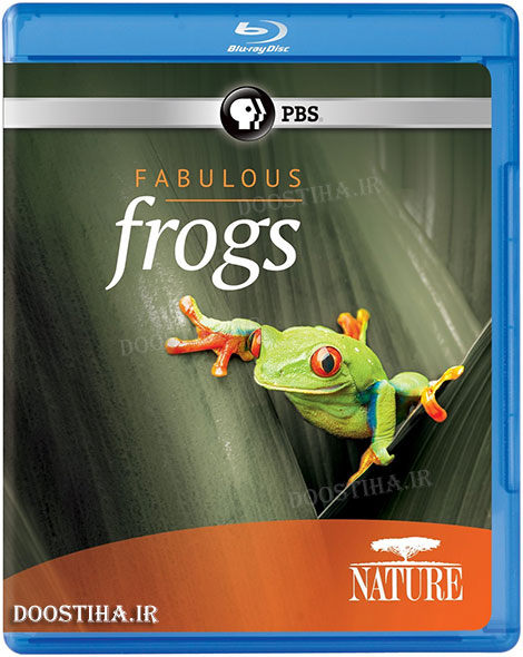 دانلود مستند قورباغه های شگفت انگیز Fabulous Frogs 2014 PBS Nature Fabulous Frogs 2014