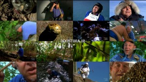 World's Biggest and Baddest Bugs