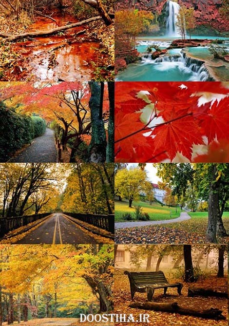 دانلود سری جدید والپیپر از پاییز Autumn Wallpapers Beautiful Autumn Wallpapers