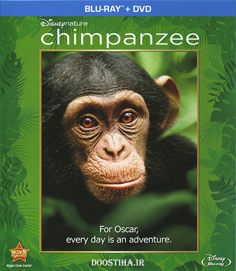 دانلود مستند شامپانزه با دوبله فارسی Chimpanzee 2012 دانلود مستند شامپانزه با دوبله فارسی Chimpanzee 2012
