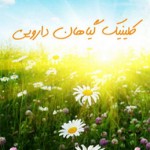 دانلود اپلیکیشن کلینک گیاهان دارویی برای اندروید کلینک گیاهان دارویی