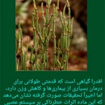 دانلود اپلیکیشن کلینک گیاهان دارویی برای اندروید کلینک گیاهان دارویی