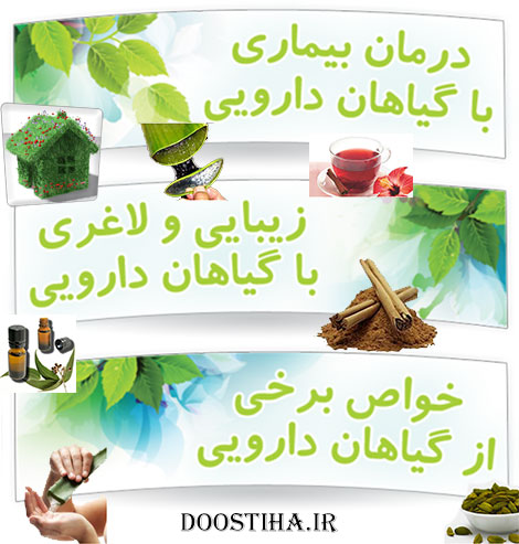 دانلود اپلیکیشن کلینک گیاهان دارویی برای اندروید دانلود اپلیکیشن کلینک گیاهان دارویی برای اندروید